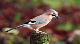 }940O34_`PBIFEUUQV8LH$O.png }940O34_`PBIFEUUQV8LH$O.png